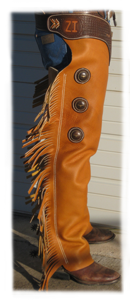 Dark Buckskin